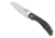 Spyderco Kapara, C241CFP