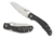 Spyderco Kapara, C241CFP