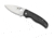 Spyderco Shaman Folding Knife, C229GP