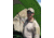 SSP Eyewear Sammamish Safety Glasses, Black Frame, Mirrored Lens, SAMMAMISH M