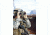 Steiner 7x50r M50r Military Binocular, 538