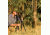 Steiner M2080 20x80 Military Binocular, Olive Drab Green, 2675