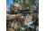 Steiner P4Xi Rifle Scope, 1-4x24mm, 30mm Tube, Second Focal Plane, P3TR Reticle, Matte, Black, 5202