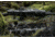 Steiner Predator 4S 4-16x44mm Rifle Scope, 30mm, Second Focal Plane, Short E3 Reticle, Black, 8777