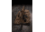 Tac-Six Unit 55 in Tactical Gun Case, Coyote, 10844