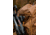 Tenzing Tzw Whitetail Day Pack, 2100 cubic in, Buckskin Tan, TZG-TNZW-2100-BST