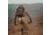 Timber Ninja Ridge Pouch 1103161