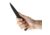 Toor Knives Darter Fixed Knife, 4.25in, CPM S35VN, G10 Handle, Shadow Black, The Darter-Shadow Black