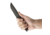 Toor Knives Field 2.0 Fixed Blade Knife, 4.5in, CPM 154 Steel, Walnut Dynamic Fluting Handle, Spanish Moss, Field 2.0-Spanish Moss