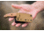 Tops Knives Little Bugger Fixed Blade Knife, Tan, 2.38 in, LILB-01