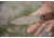 TOPS Knives M-PAT Fixed Blade