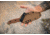 TOPS Knives M-PAT Fixed Blade