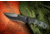 Tops Knives Mountain Lion Fixed Blade Knife, Green, 5.5in, MTLN-01