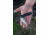 TOPS Knives MSF Linerlock Black Elmax