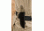 Tops Knives Scandi Woodsman Fixed Blade Knife, Green, 3.5in, SWOOD-3.5