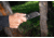 TOPS Knives Sheep Creek Knife, 3.75in, 154CM, Fixed Blade, Green w/ Tan liner, SPCK-01