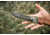 Tops Knives Steel Eagle 107C Delta Class, Fixed Blade Knif, 7.63 in, Midnight Bronze Blade, 1095 RC 56-58 Steel, Tan/Black Canvas Micarta Handle, SE107C-2DC
