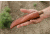 Tops Knives Tanimboca Puukko, Brown, TPUK-01