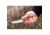 TOPS Knives Tanimboca Puukko Knife, 7.75in Overall, 3.5in Tumbled Finish 1095Hc Steel Blade, Tan Canvas Micarta Handle, Rocky Mountain Tread Handle, Brown Leather Sheath, TPUK-01-RMT