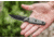 Tops Knives UTE Utility Tool Edged Fixed Blade Knife TPUTE02