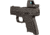 Trijicon RMR Mount Plate for Walther PPS, Black, AC32103