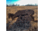 Triumph Systems Downwind Deer Cardboard Target, Black/Brown, 40 x 17.50in, 0200-20-000