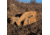 Triumph Systems Downwind Deer Cardboard Target, Black/Brown, 40 x 17.50in, 0200-20-000