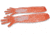Trophy Treestands Field Dressing Gloves, Orange, TA922