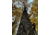 Trophy Treestands Highview Climbing Steps, HVSD64