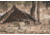 Two Vets Tripods Inc Tripod Tipi, Coyote Brown, TRIPODTIPI-CO