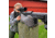 Ulfhednar Kuddi Shooting Support Pillow w/ SpexLite Fill, SpexLite 2511, Heavy-Weight, Wolf Grey, UHKUDDI-HW