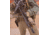Unity Tactical Light Wing - Left, Flat Dark Earth FUS-LWLF