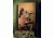 US Night Vision Gun Safe Wraps Hot Shots 2013, 38x65in, Rosie October 702010