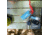 UST TekFire Fuel-Free Lighter, Blue, 20-00041