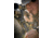 Vanguard VEO 2 Shooting Stick, Black, 4 section, 23mm aluminum leg, 360-degree rotating, wide U-Yoke, VEO 2 AM-234TU