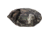 Vanish Thermo Seat, Mossy Oak 1401554