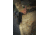 Vertx Fusion Flex Pant - Mens, Desert Tan - VTX1201DT2830