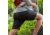 Vertx Ruck Shorts - Mens