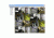 Video Insight Ip Camera Software With 12 Cameras On One Server