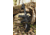 Viridian Weapon Technologies 4LUX CQ 400 Lumen Grip Light, Black, 912-0072