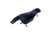 VISM CCW Fanny Pack, Black, CVFP3057B
