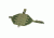Vism Drop Leg Molle Panel/Green CVDLMP2952G