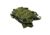 VISM Every Day Pack, Green, CVEDP3056G