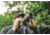 Vortex Crossfire HD 12-36x50 Spotting Scope, Angled, Green, CF-50A