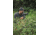 Vortex Crossfire HD 12-36x50 Spotting Scope, Angled, Green, CF-50A