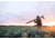 Vortex Crossfire HD 16-48x65 Spotting Scope, Angled, Green, CF-65A
