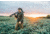 Vortex Crossfire HD 16-48x65 Spotting Scope, Angled, Green, CF-65A