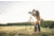Vortex Crossfire HD 20-60x80 Spotting Scope, Angled, Green, CF-80A