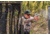Vortex Defender-XL 1x Red Dot Sight, 8 MOA, Black, DFXL-MRD8