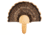 Walnut Hollow Turkey Mount Kit